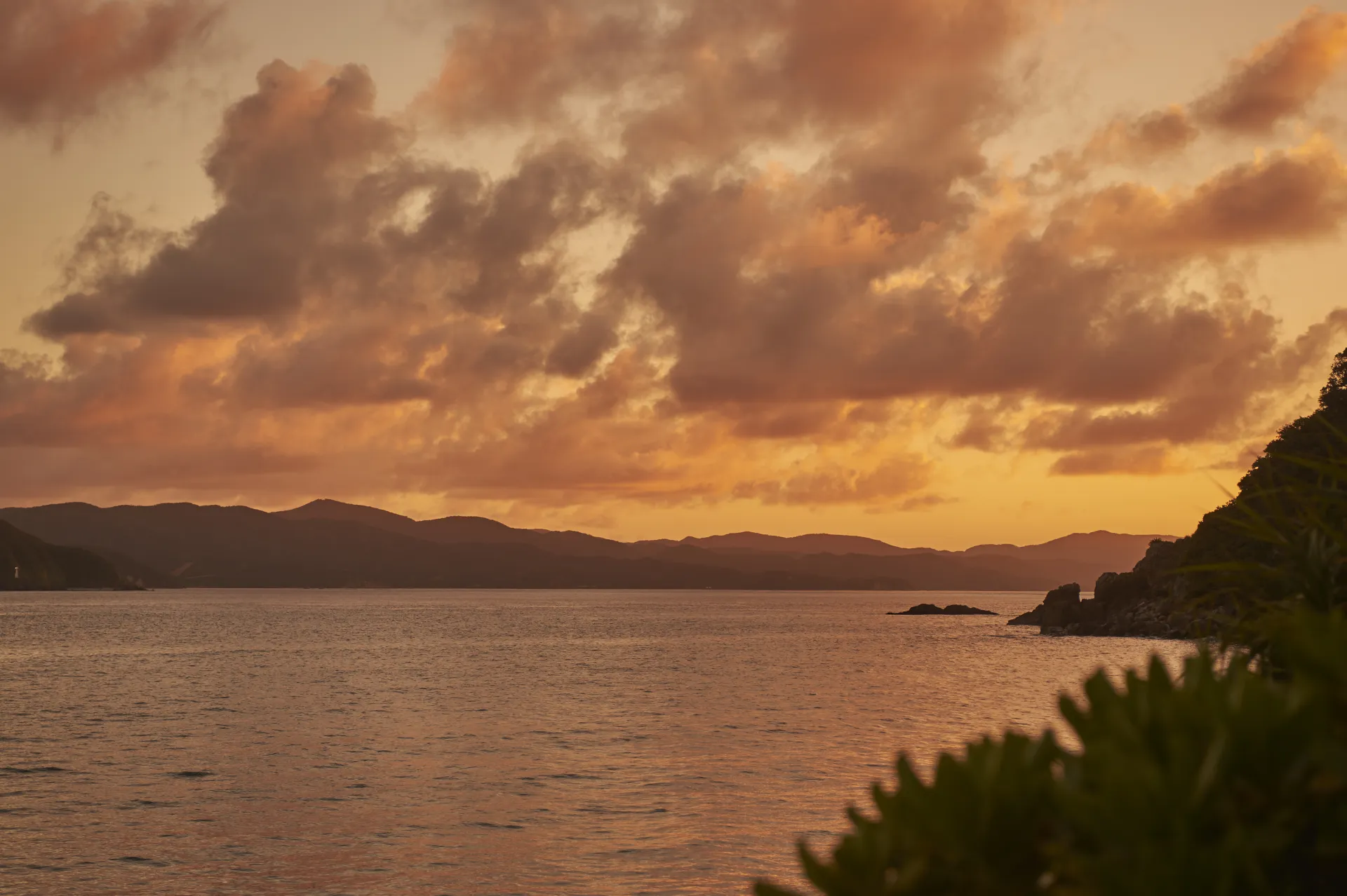 Tropical paradise experience