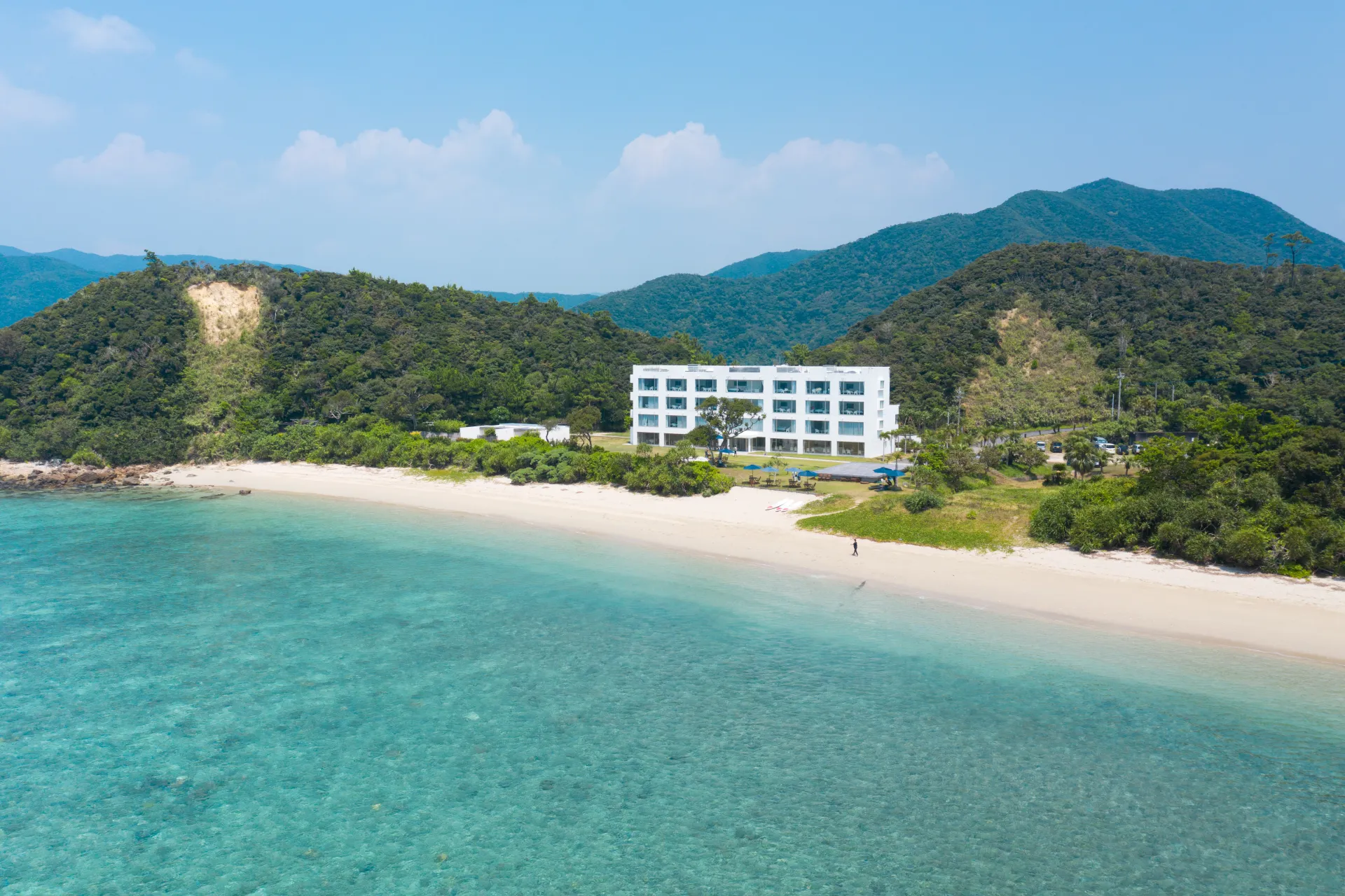 Sushi Making Experience