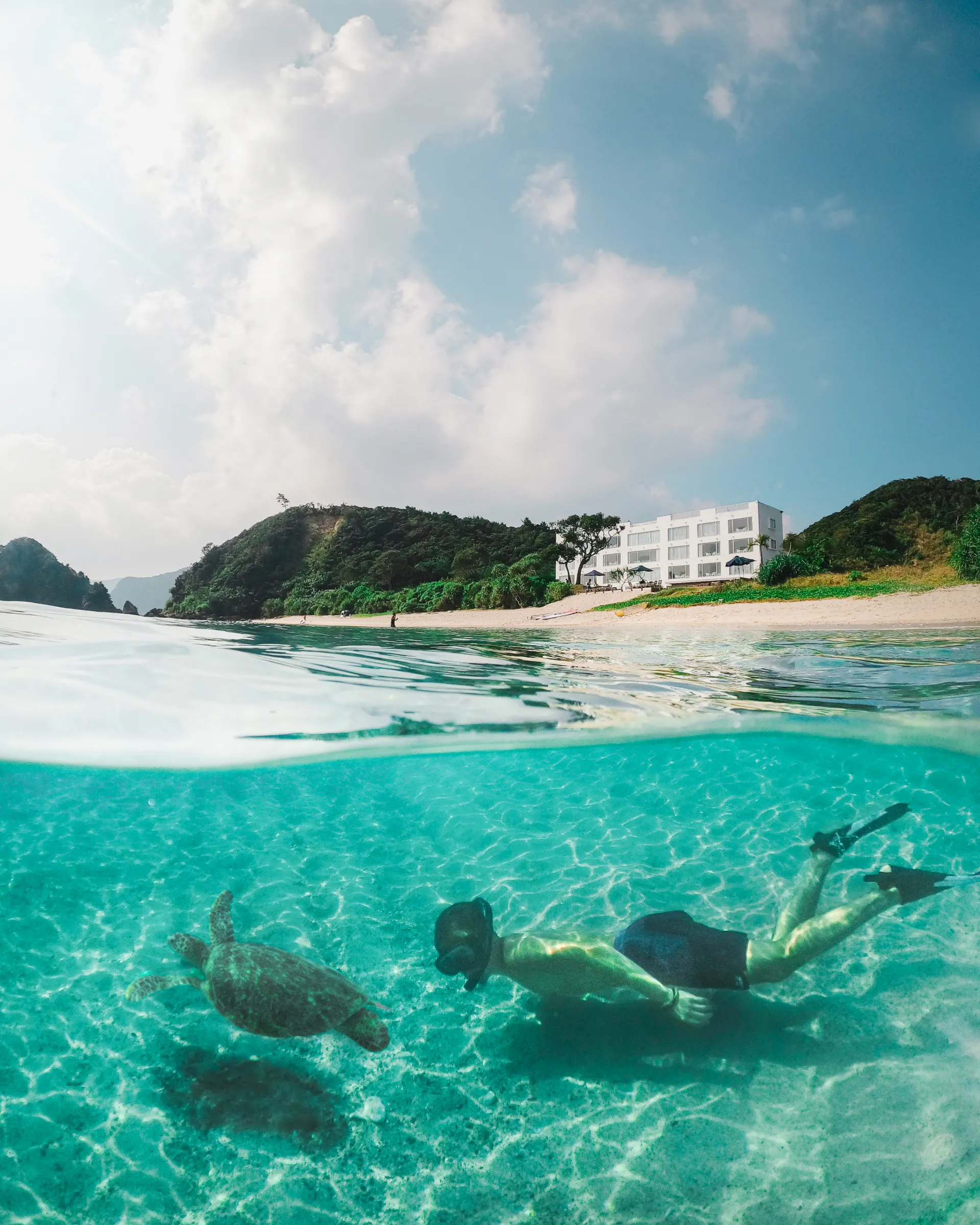 Boat tour experience