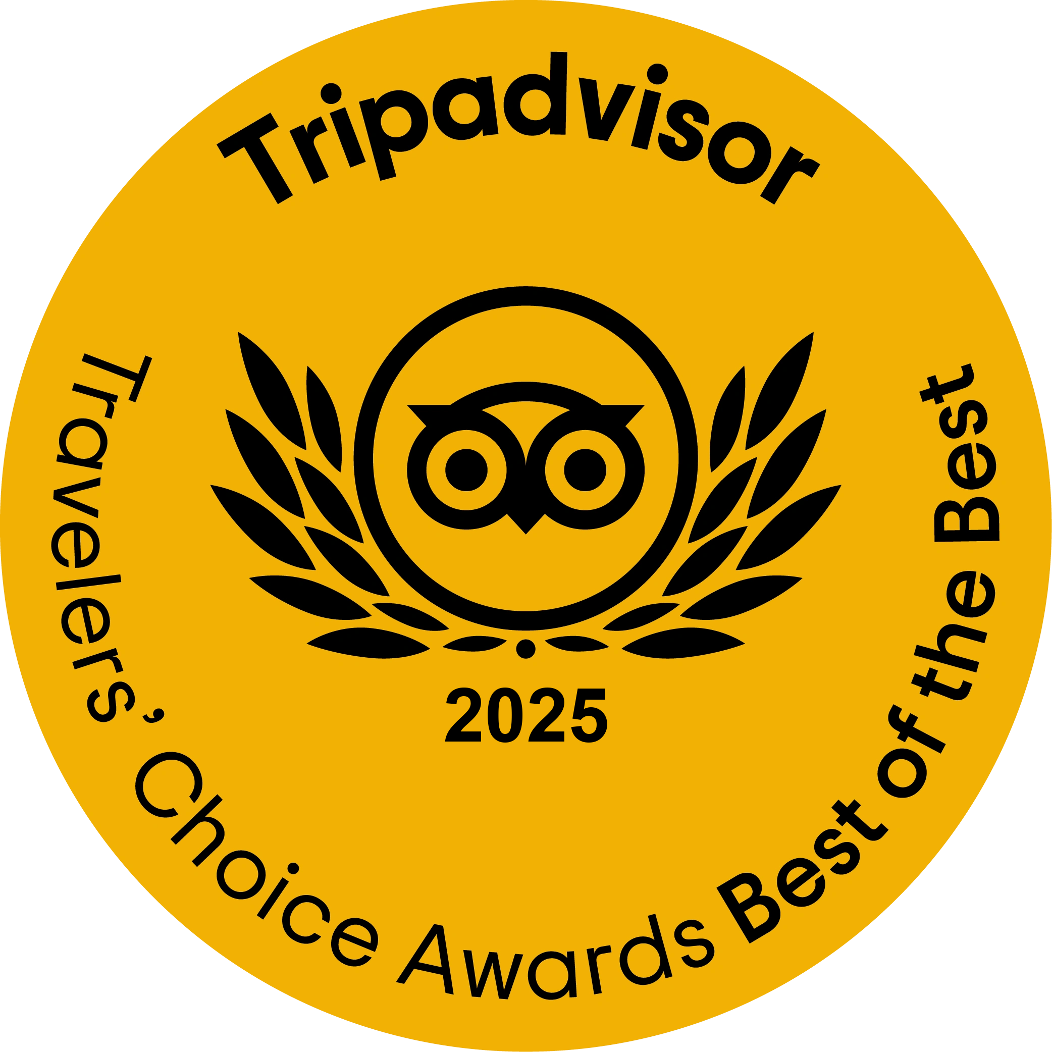 Travelers' Choice Best of the Best 2025